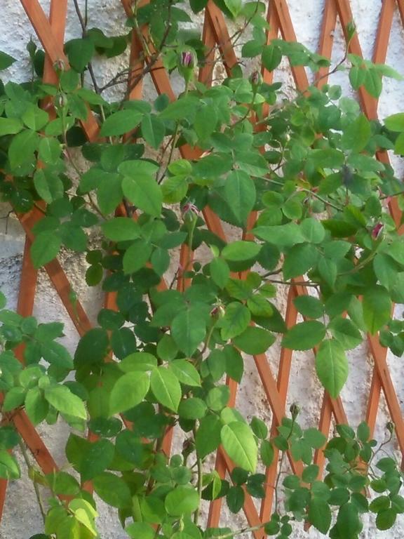 Casetta In Riva Al Mare Apartment